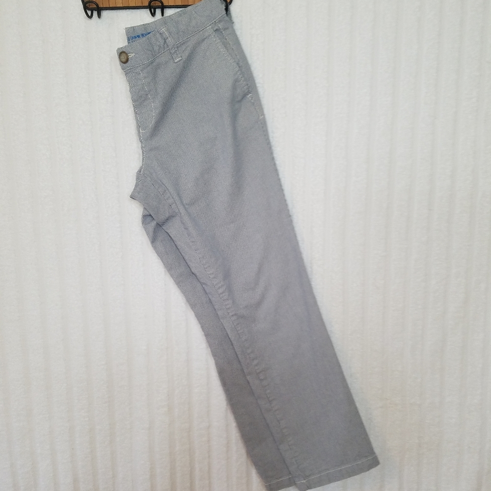Khakis by Gap. Dark blue and white pin stripe.